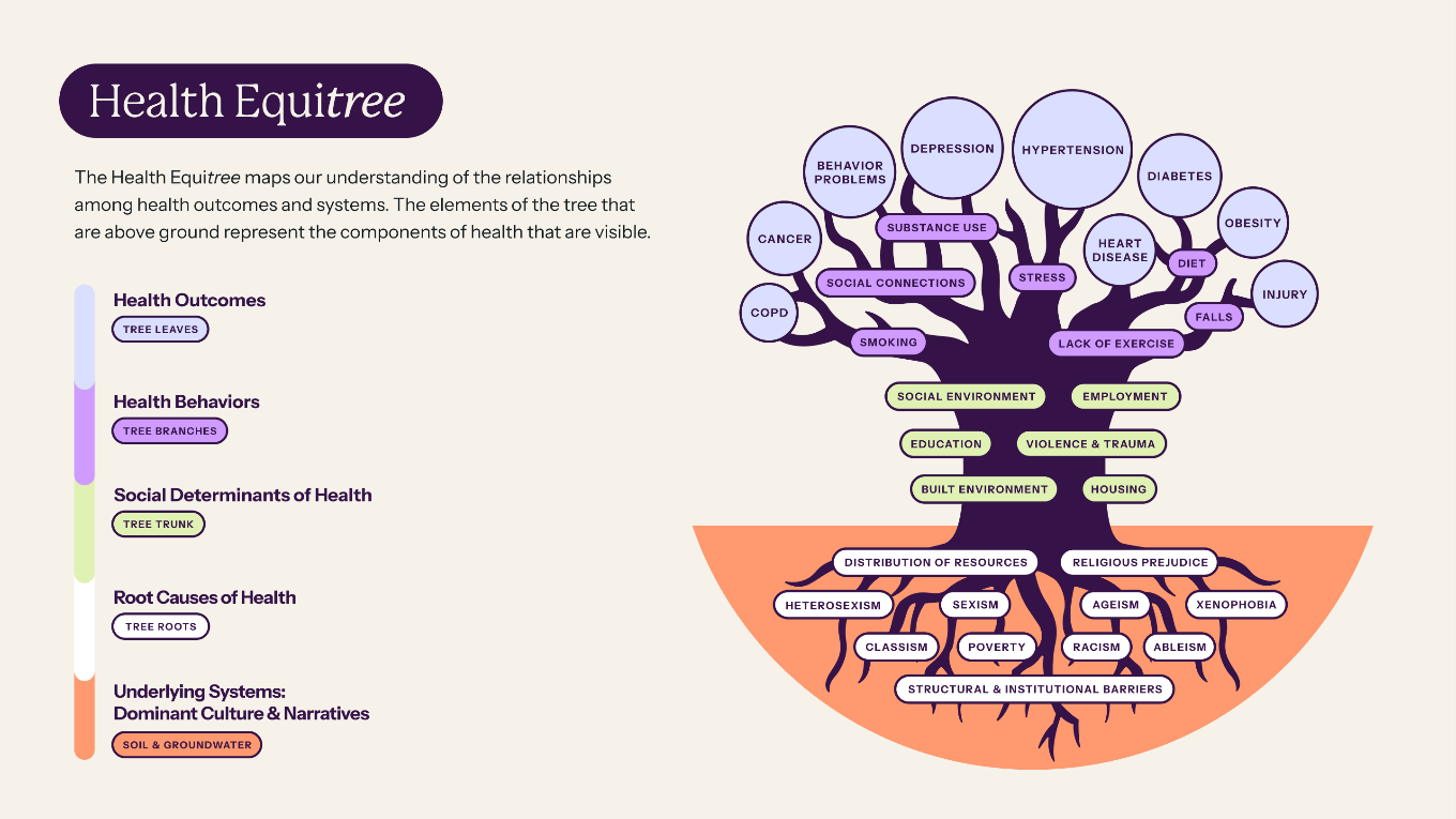 illustration of a tree with determinants in the leaves and root causes at the roots